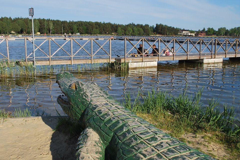 Jezioro Białe - krokodyl na plaży głównej